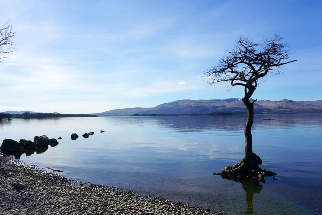 From Lochs to Logos From Lochs to Logos