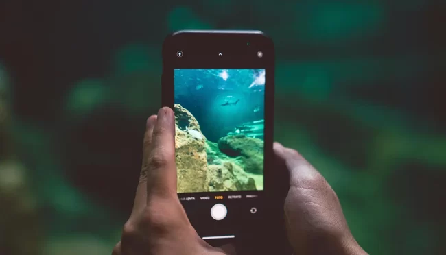 Harnessing the Power of User-Generated Content: Strategies for Businesses to Thrive Harnessing the Power of User-Generated Content: Strategies for Businesses to Thrive - Taesea